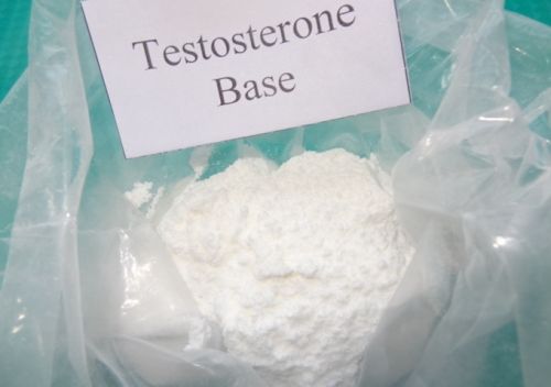 Testosterone Base powder for sale Testosterone Base