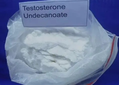 Testosterone Undecanoate Raw Powder Testosterone Undecanoate Raw Powder